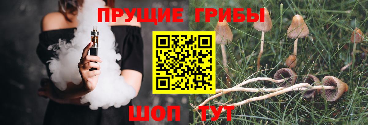 Псилоцибиновые грибы GOLDEN TEACHER Санкт-Петербург